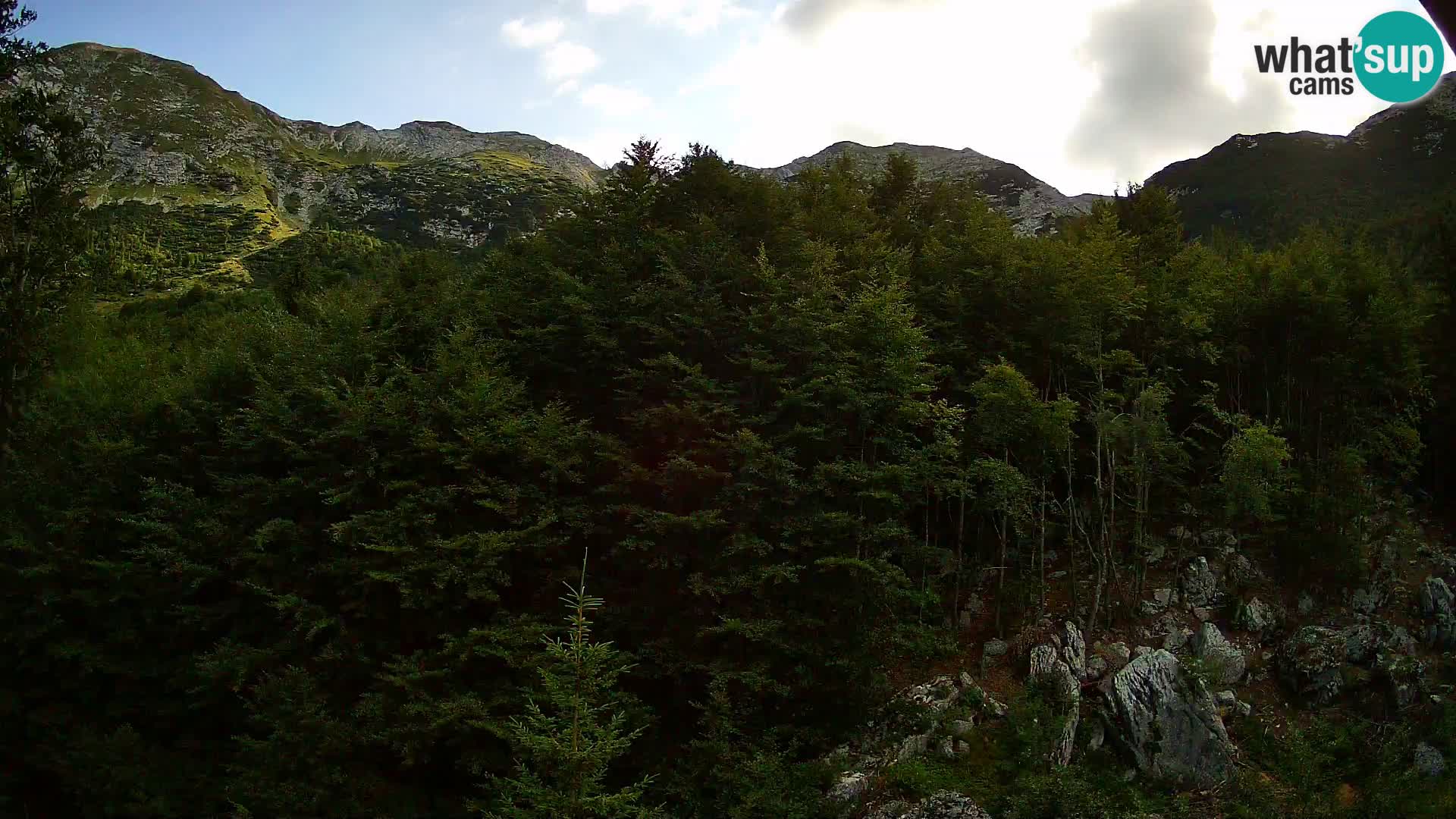 PLANINA RAZOR Live Cam (1315) | vista su Vogel e Globoko