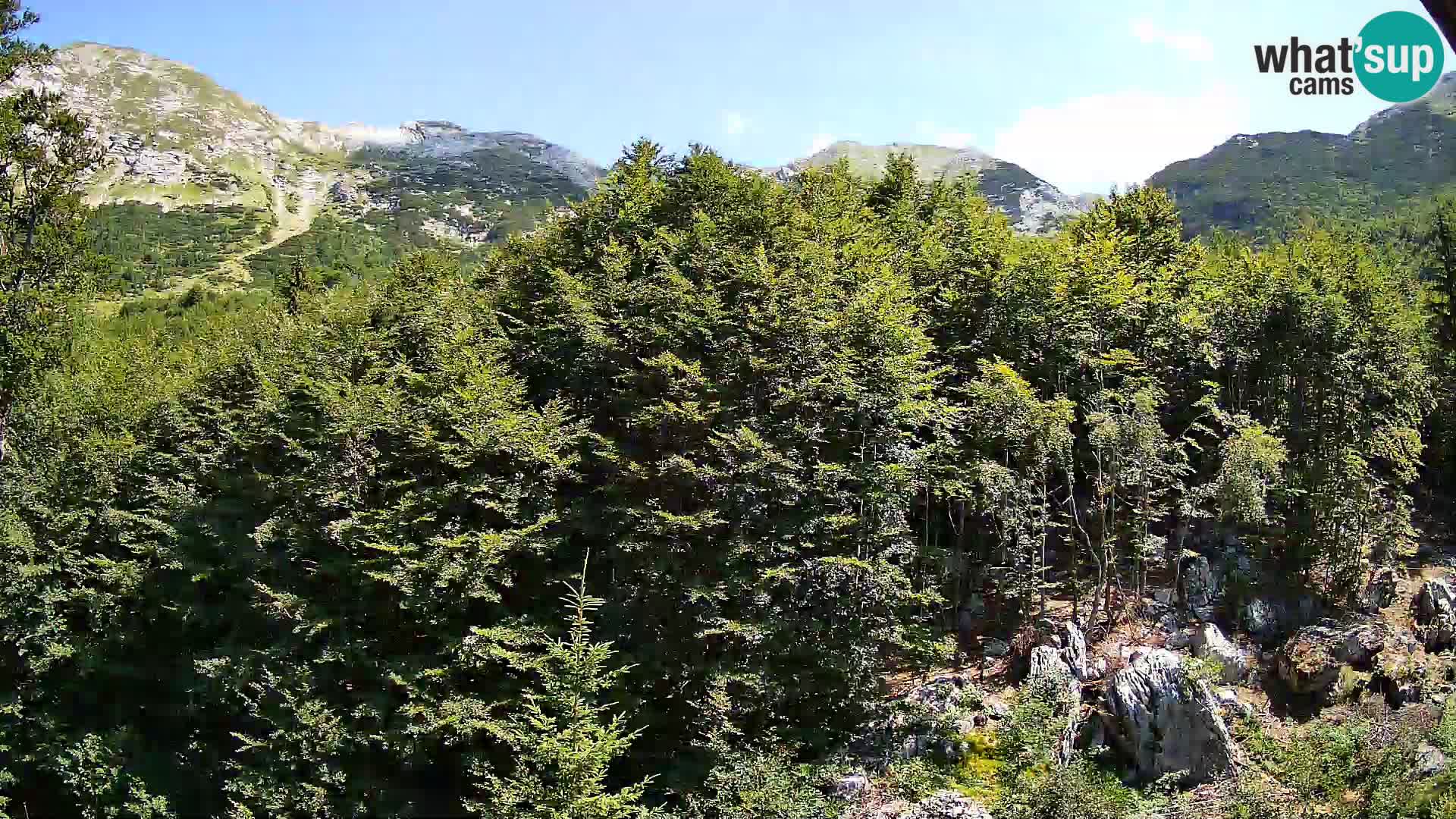 Livecam PLANINA RAZOR (1315) | vue sur Vogel et Globoko
