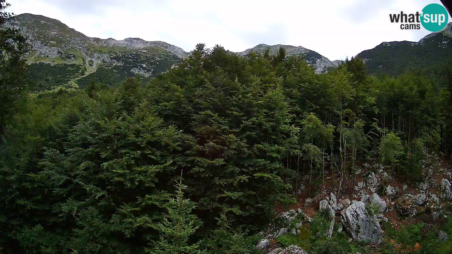 PLANINA RAZOR kamera (1315) | pogled na Vogel in Globoko