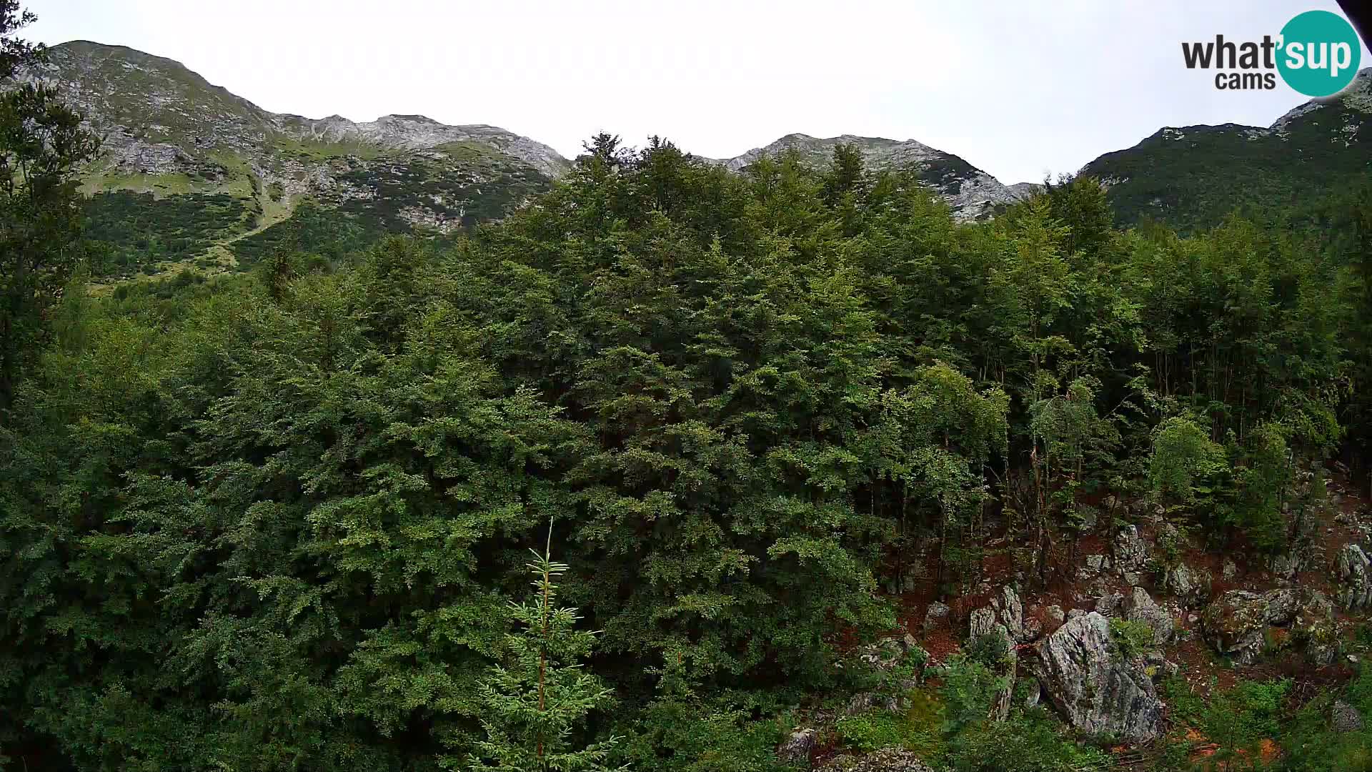 Cámara web PLANINA RAZOR (1315) | vista a Vogel y Globoko