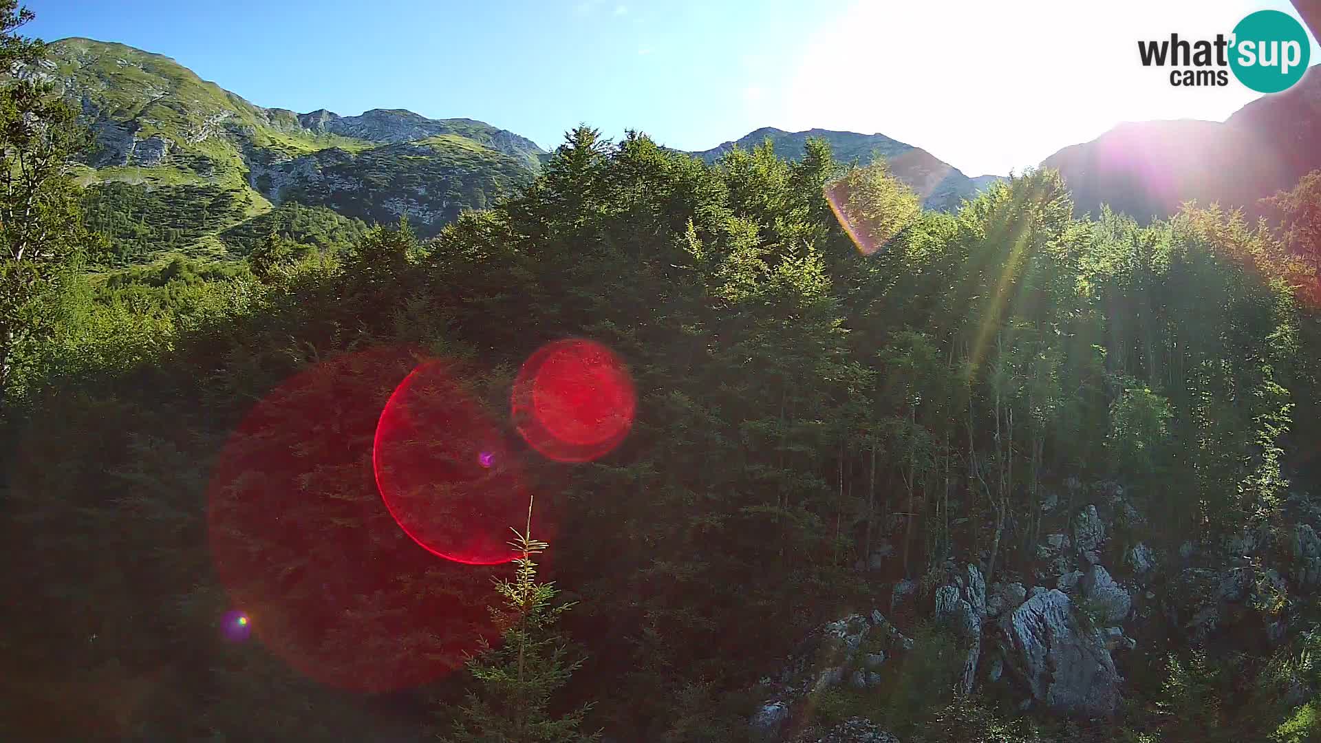 PLANINA RAZOR kamera (1315) | pogled na Vogel in Globoko