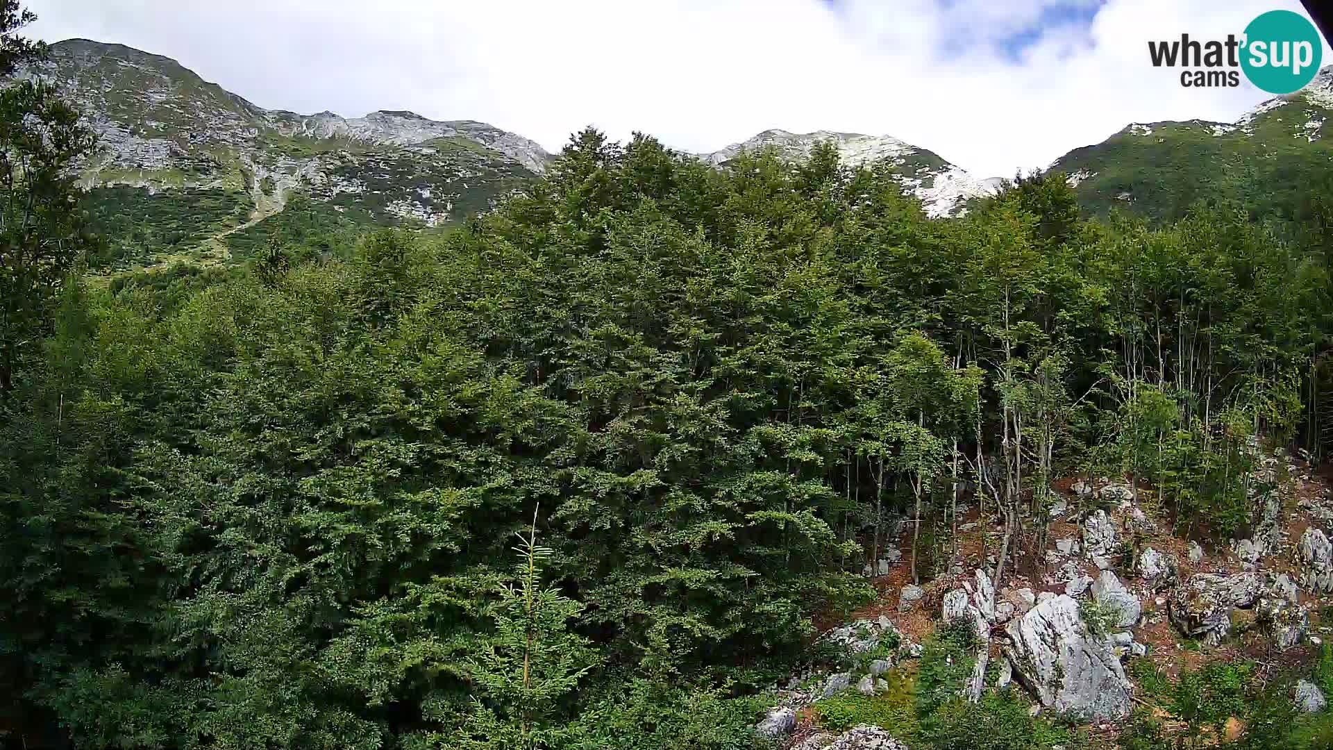 PLANINA RAZOR kamera (1315) | pogled na Vogel in Globoko