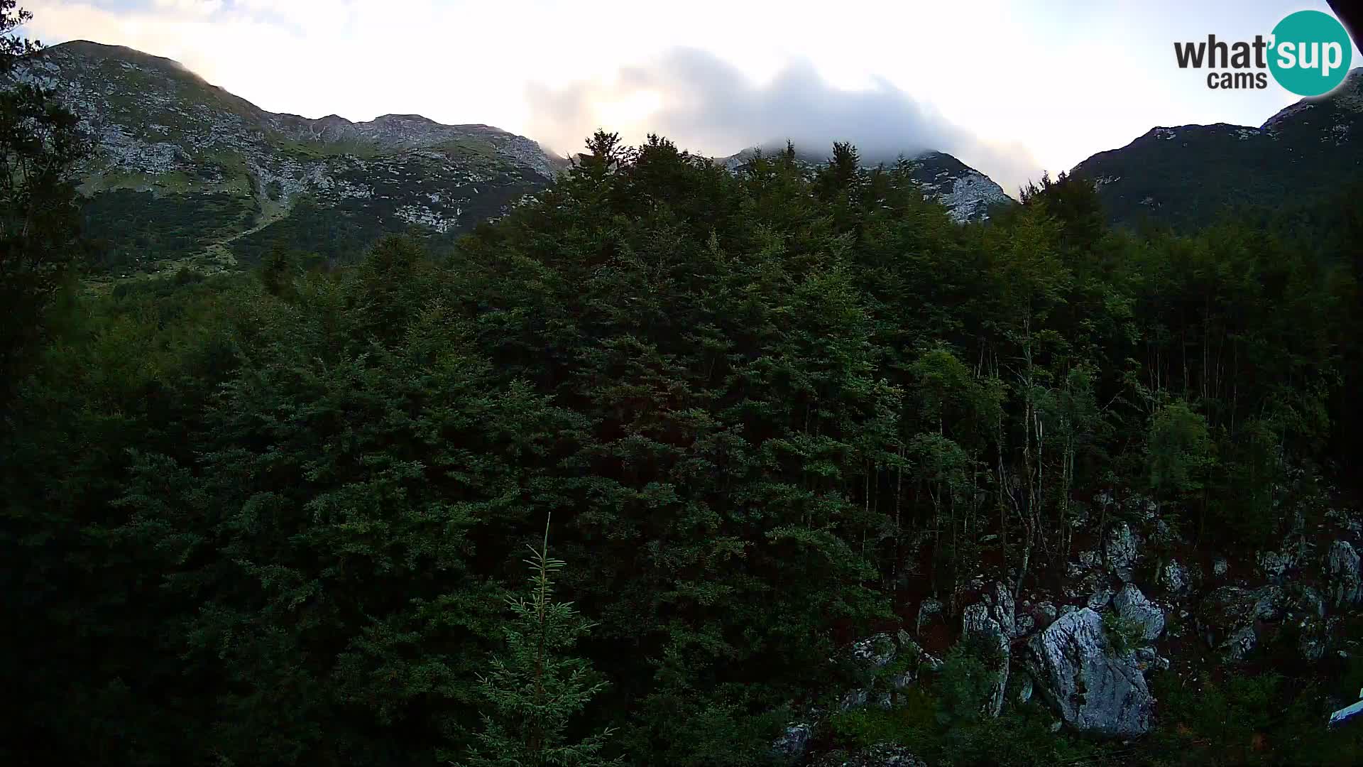 Webcam PLANINA RAZOR (1315) | Blick auf Vogel und Globoko