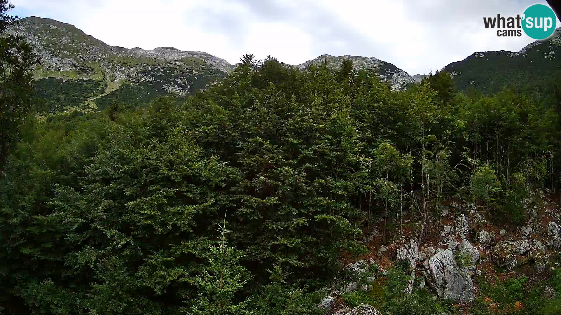 PLANINA RAZOR web kamera (1315) | pogled na Vogel i Globoko