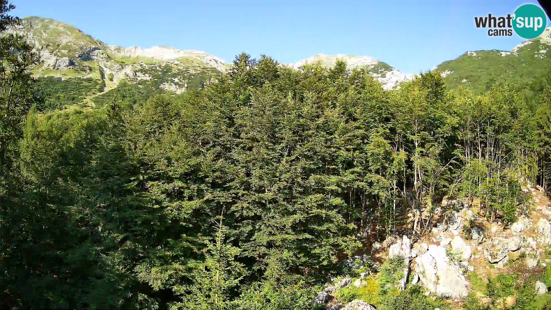 PLANINA RAZOR web kamera (1315) | pogled na Vogel i Globoko