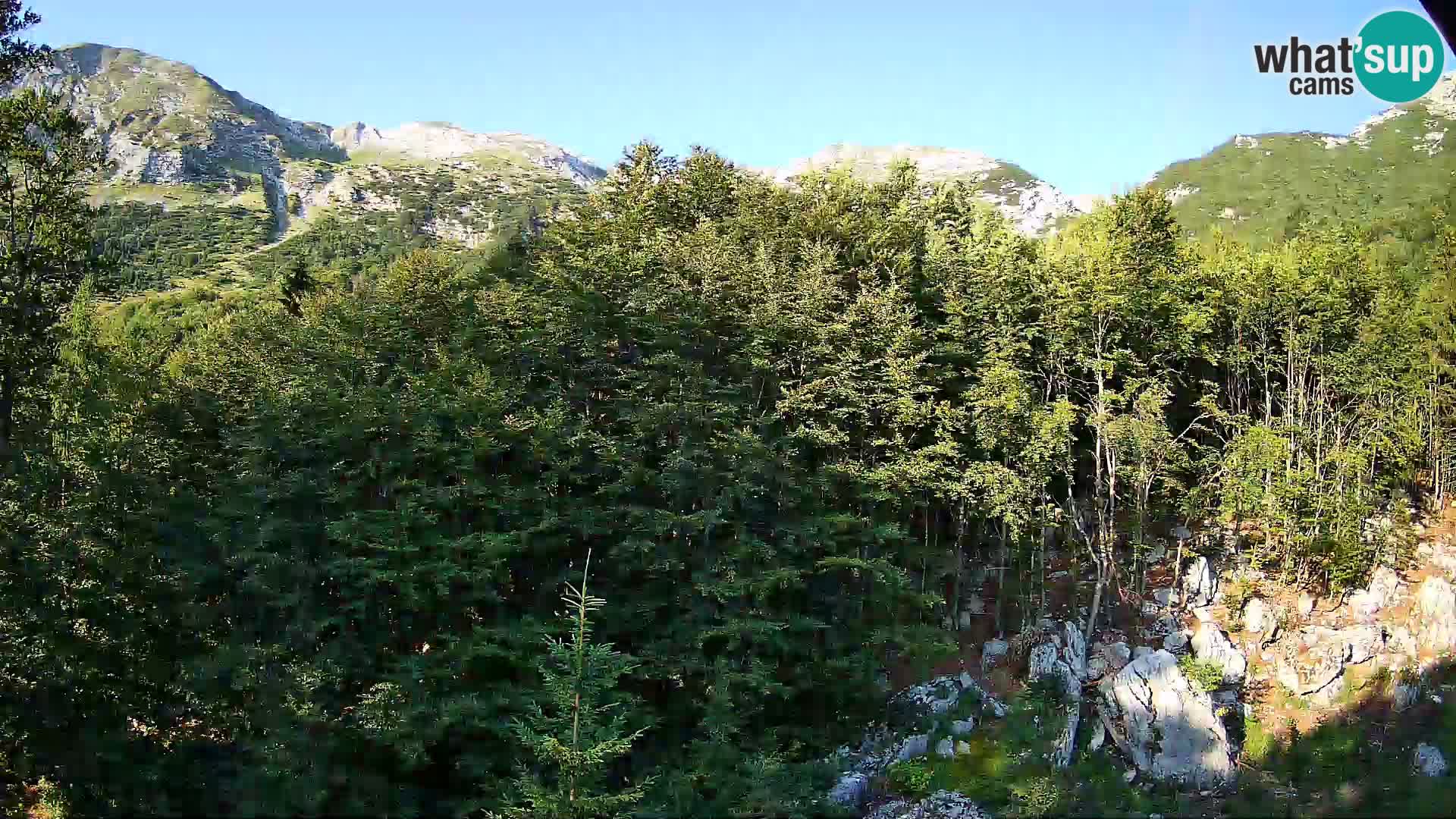 PLANINA RAZOR kamera (1315) | pogled na Vogel in Globoko