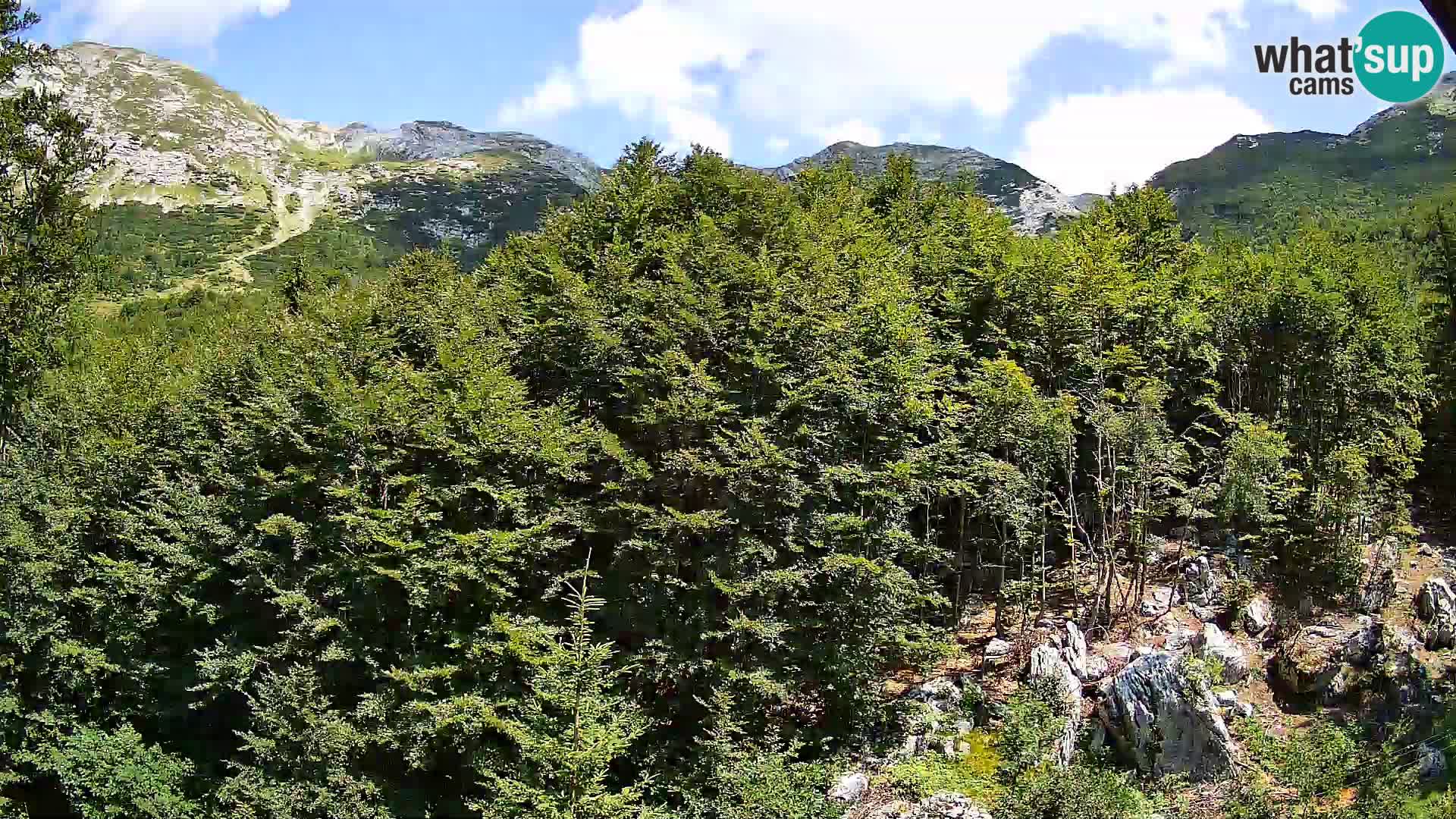 Cámara web PLANINA RAZOR (1315) | vista a Vogel y Globoko