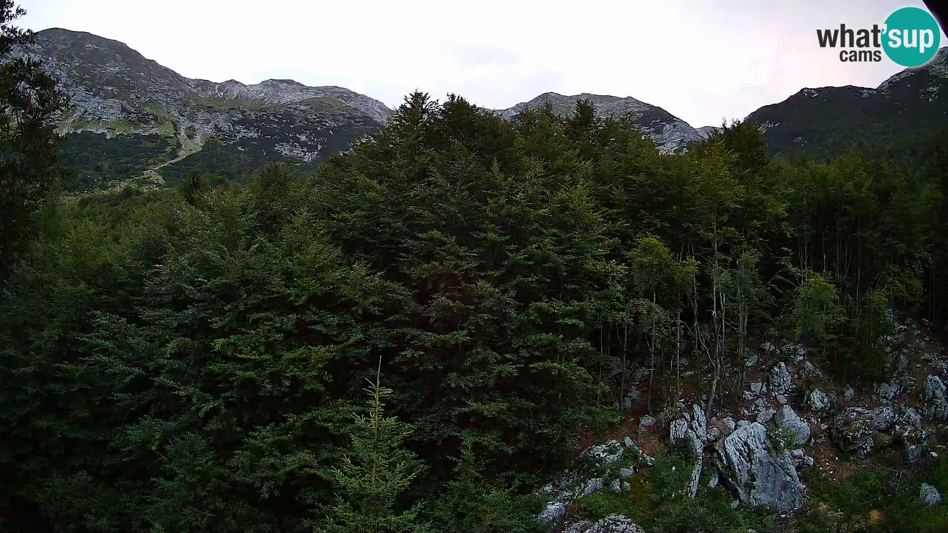 PLANINA RAZOR kamera (1315) | pogled na Vogel in Globoko