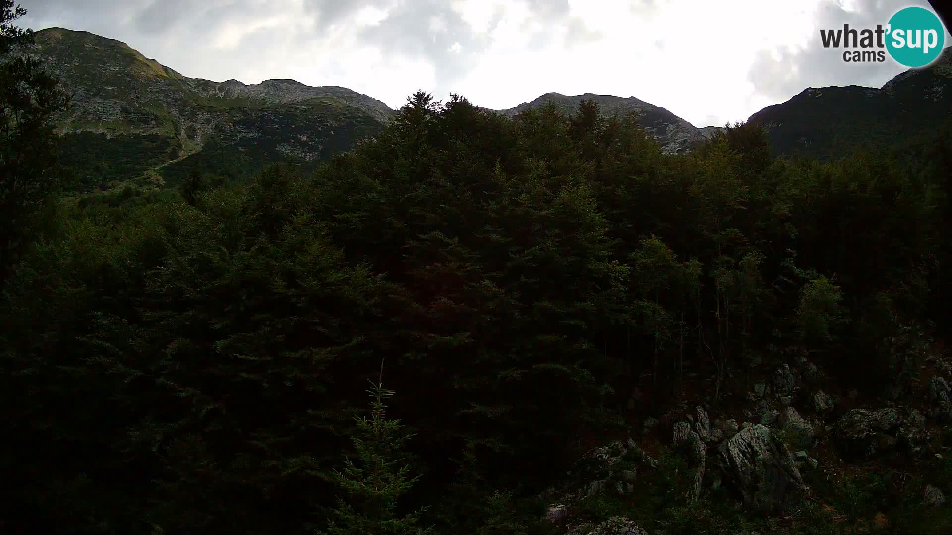 Cámara web PLANINA RAZOR (1315) | vista a Vogel y Globoko