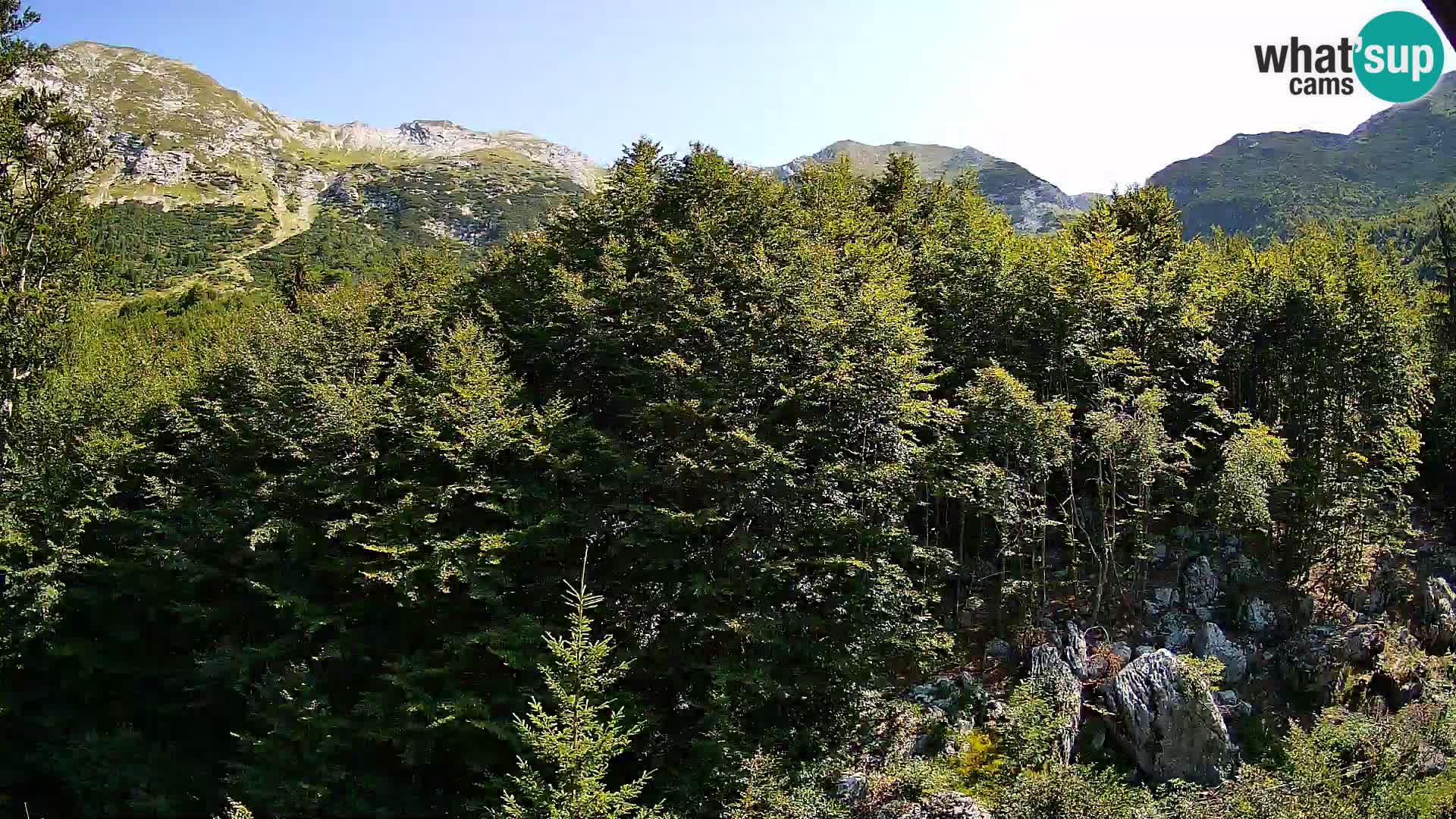 PLANINA RAZOR web kamera (1315) | pogled na Vogel i Globoko