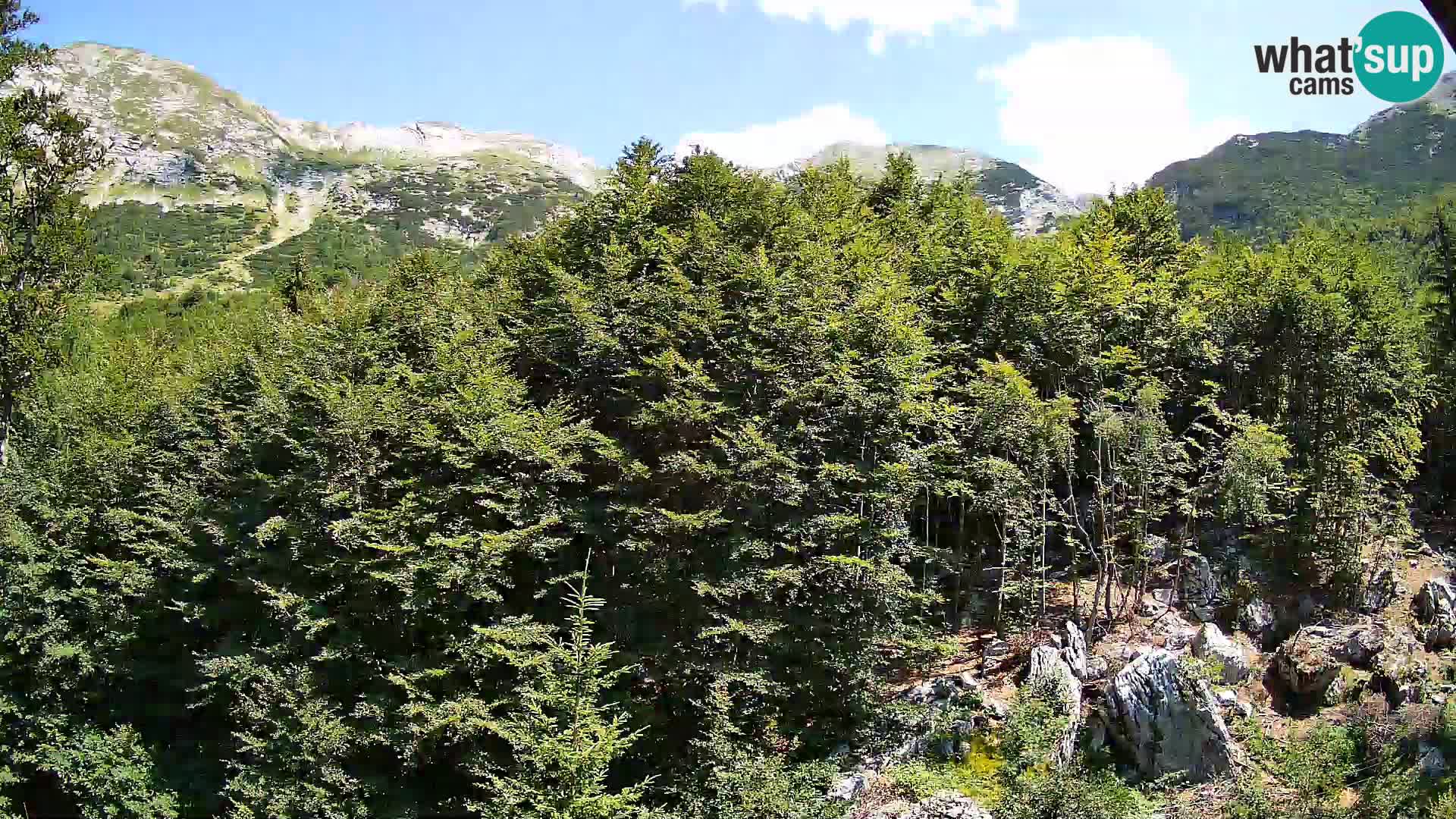 Livecam PLANINA RAZOR (1315) | vue sur Vogel et Globoko