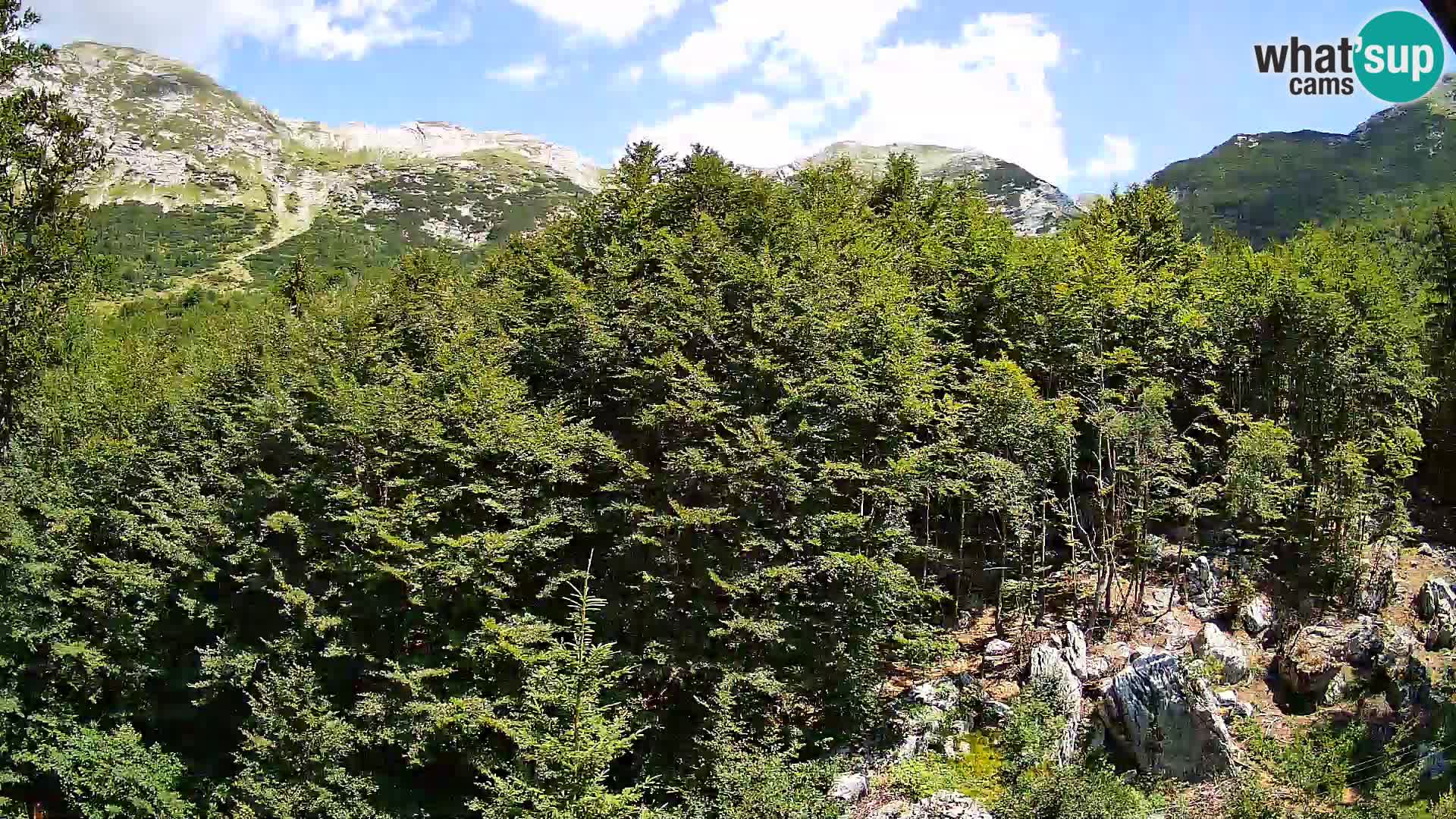 Cámara web PLANINA RAZOR (1315) | vista a Vogel y Globoko