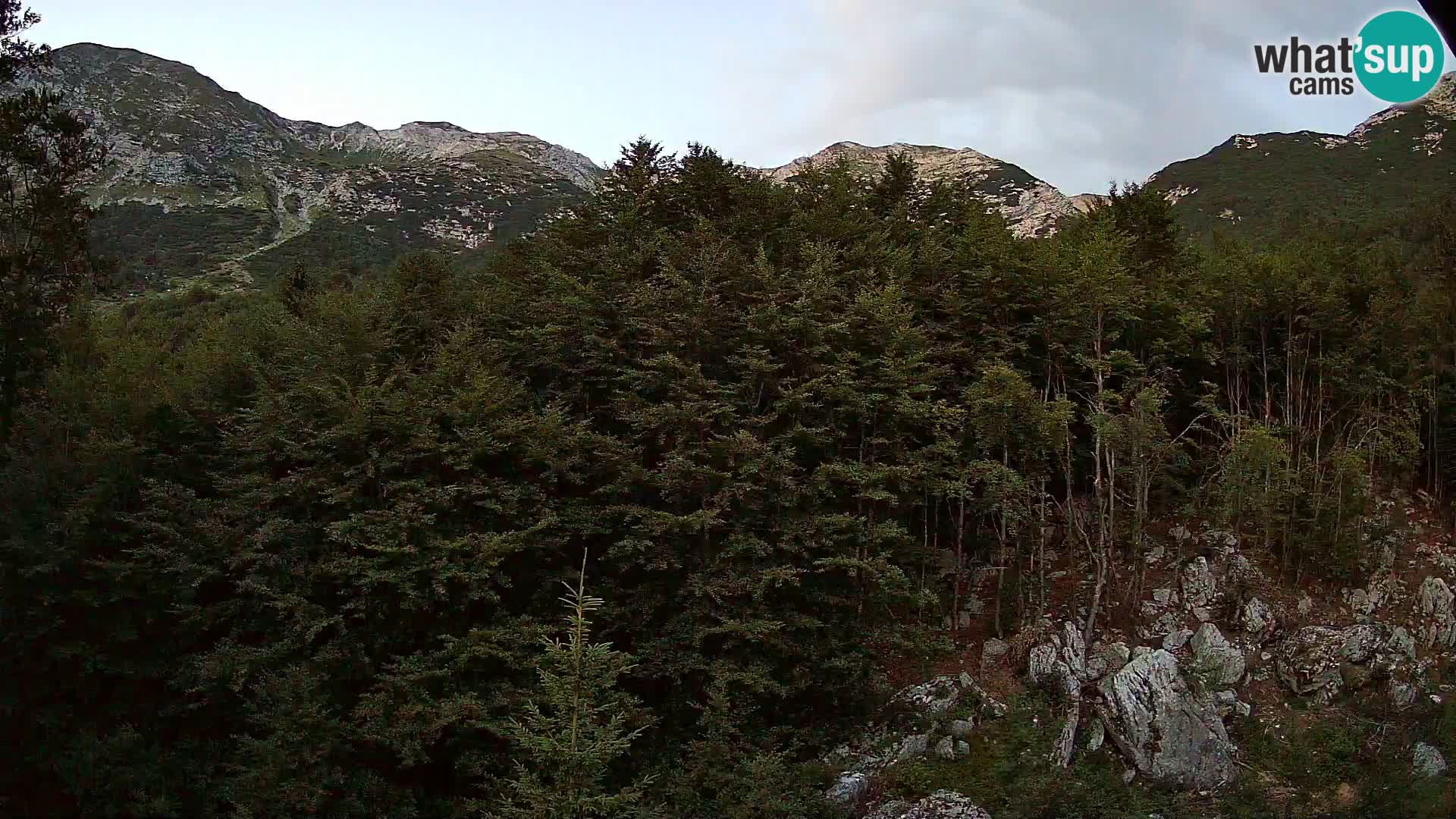 PLANINA RAZOR web kamera (1315) | pogled na Vogel i Globoko