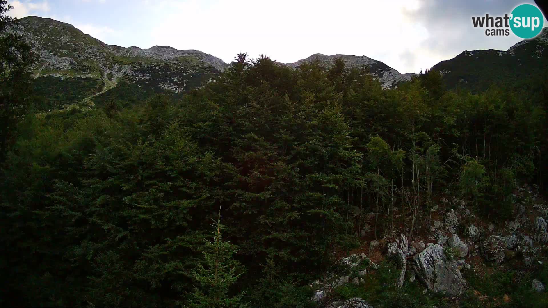 PLANINA RAZOR kamera (1315) | pogled na Vogel in Globoko