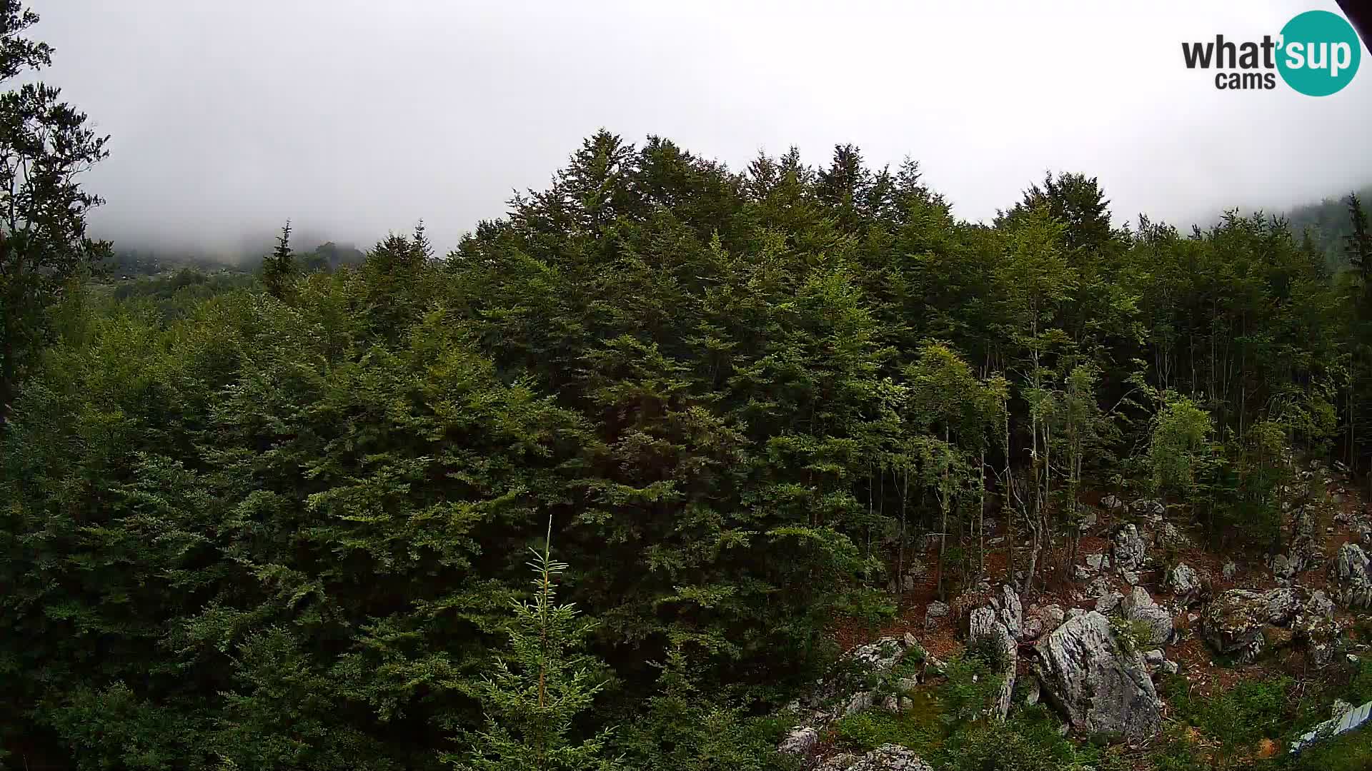 Livecam PLANINA RAZOR (1315) | vue sur Vogel et Globoko
