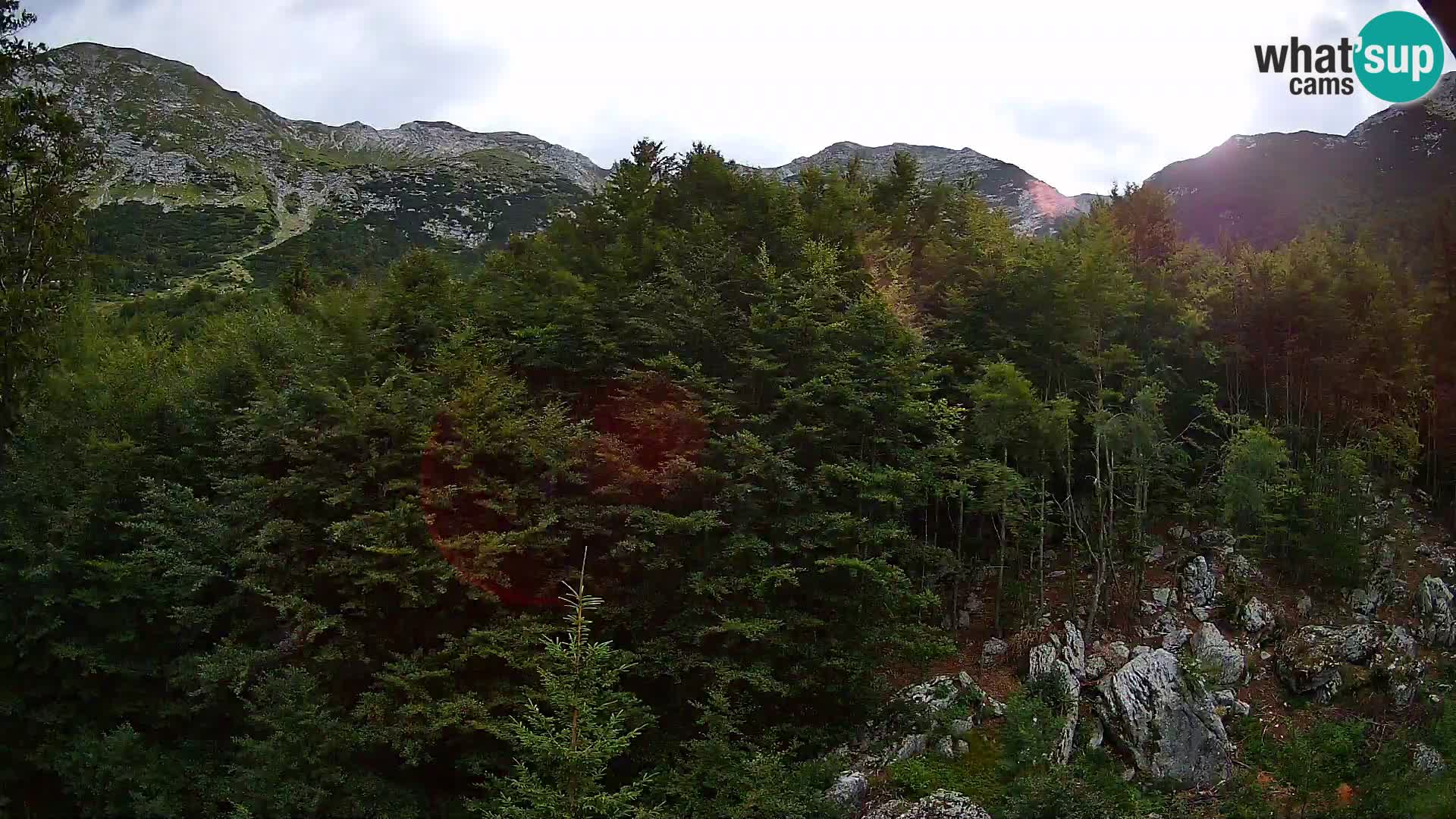 PLANINA RAZOR kamera (1315) | pogled na Vogel in Globoko