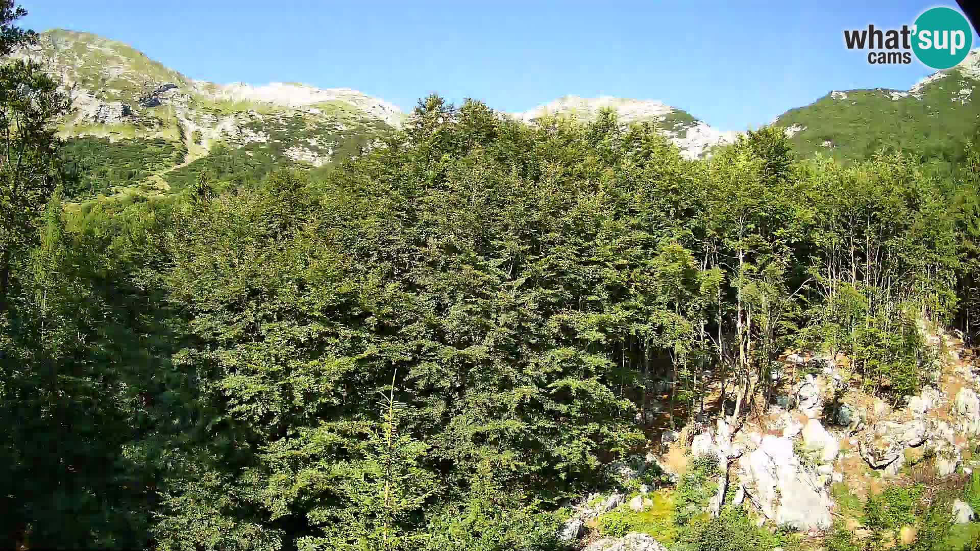 PLANINA RAZOR kamera (1315) | pogled na Vogel in Globoko