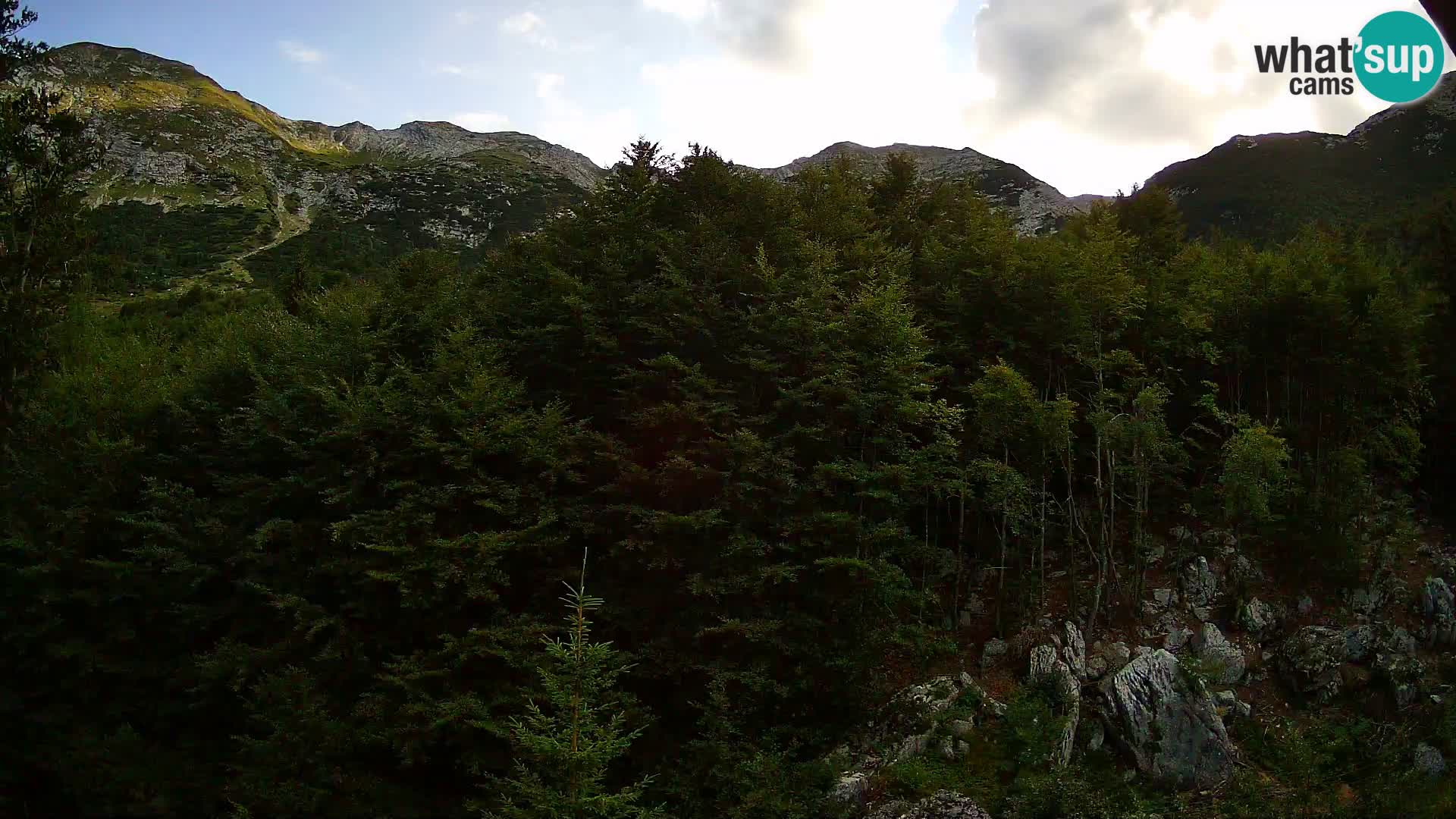 Livecam PLANINA RAZOR (1315) | vue sur Vogel et Globoko