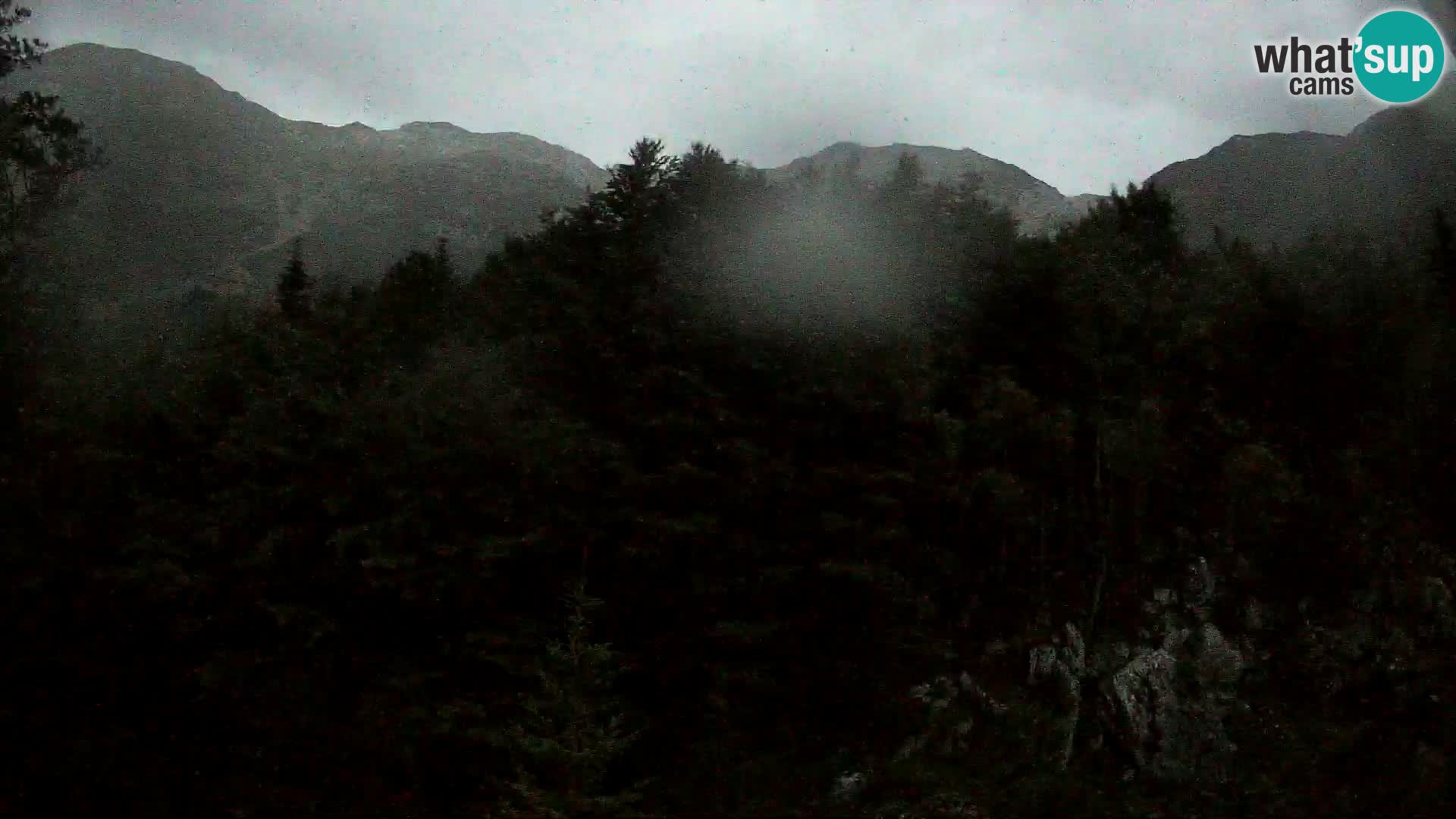 Webcam PLANINA RAZOR (1315) | Blick auf Vogel und Globoko