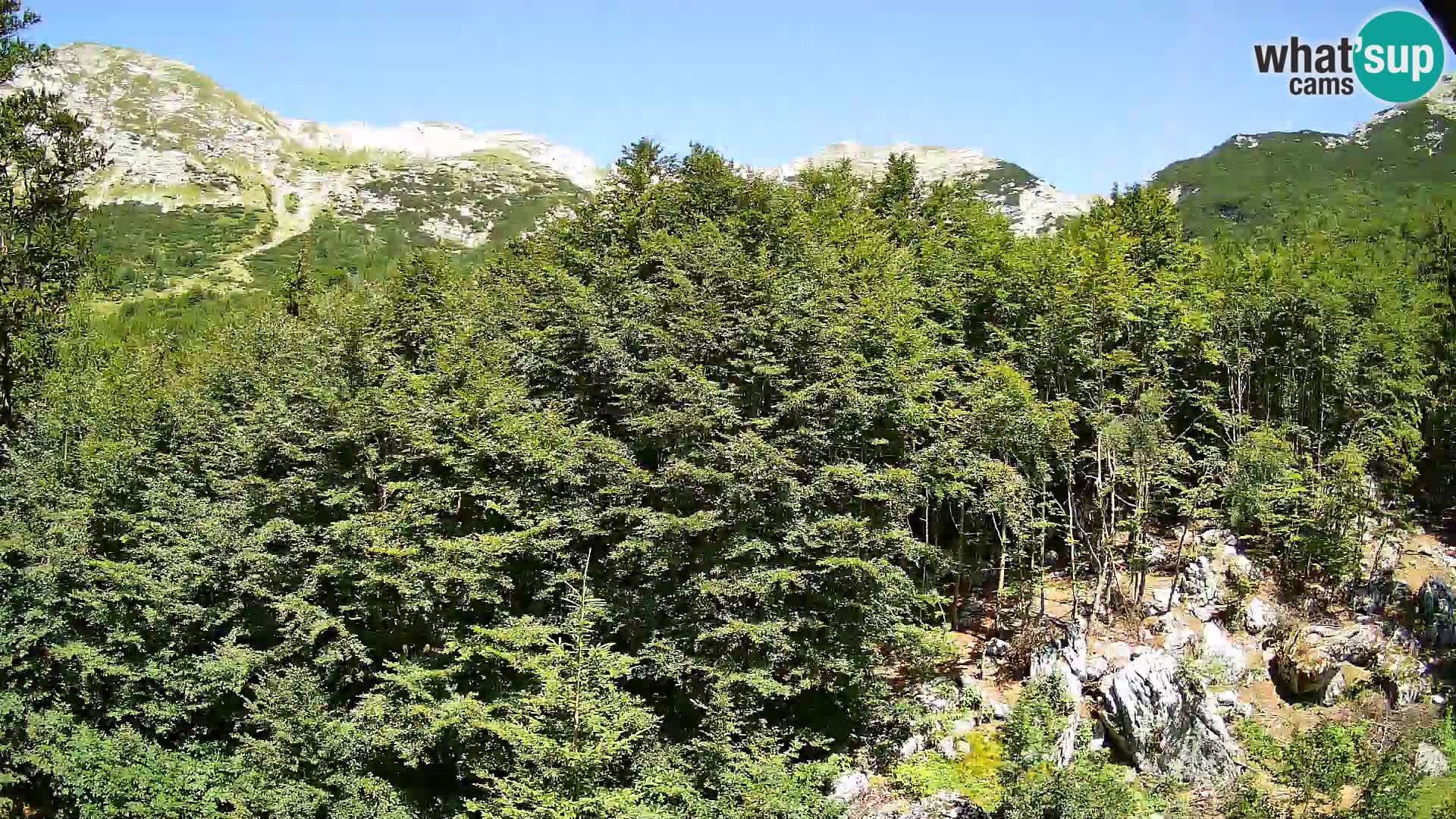 Cámara web PLANINA RAZOR (1315) | vista a Vogel y Globoko