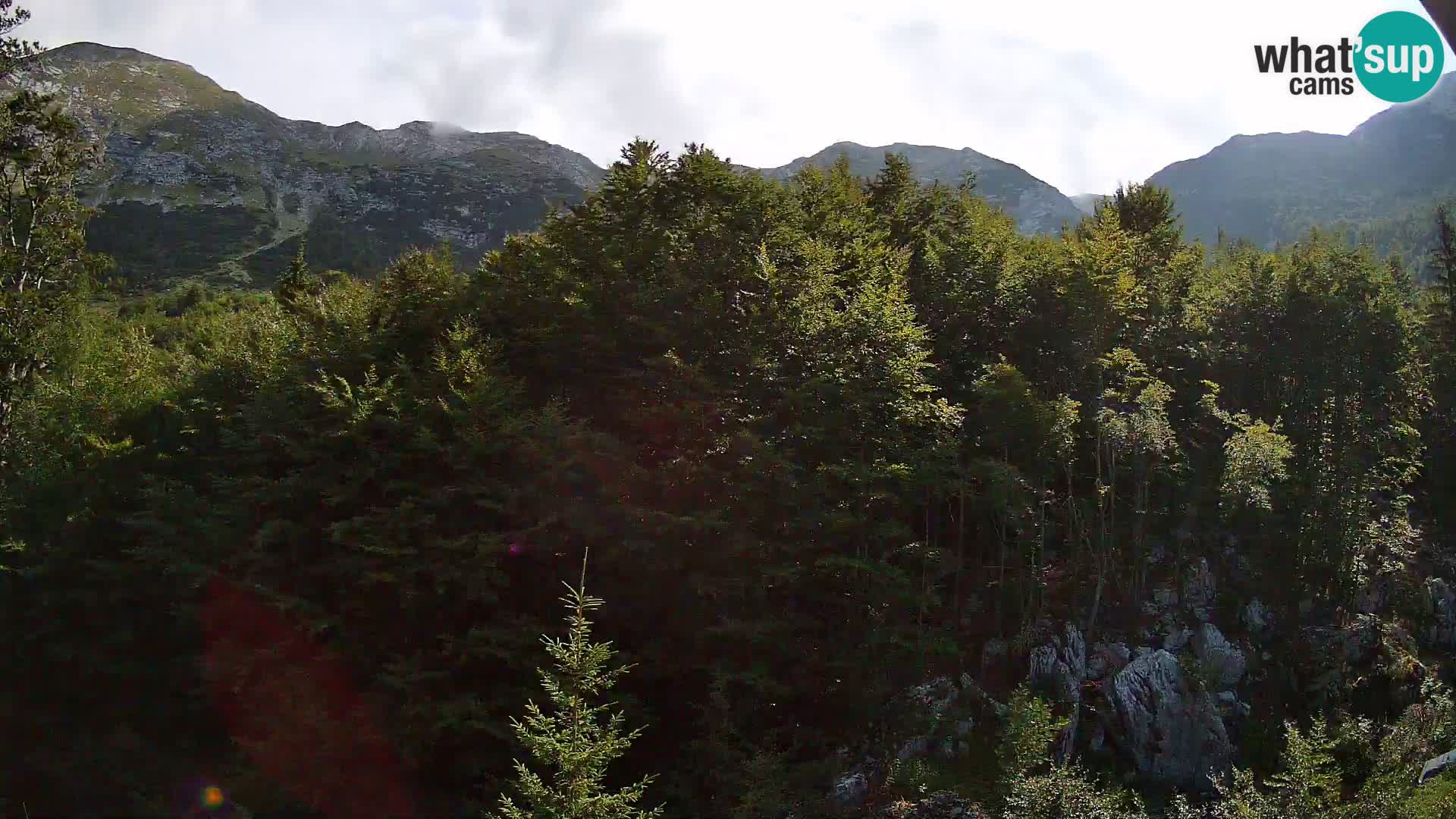 Cámara web PLANINA RAZOR (1315) | vista a Vogel y Globoko