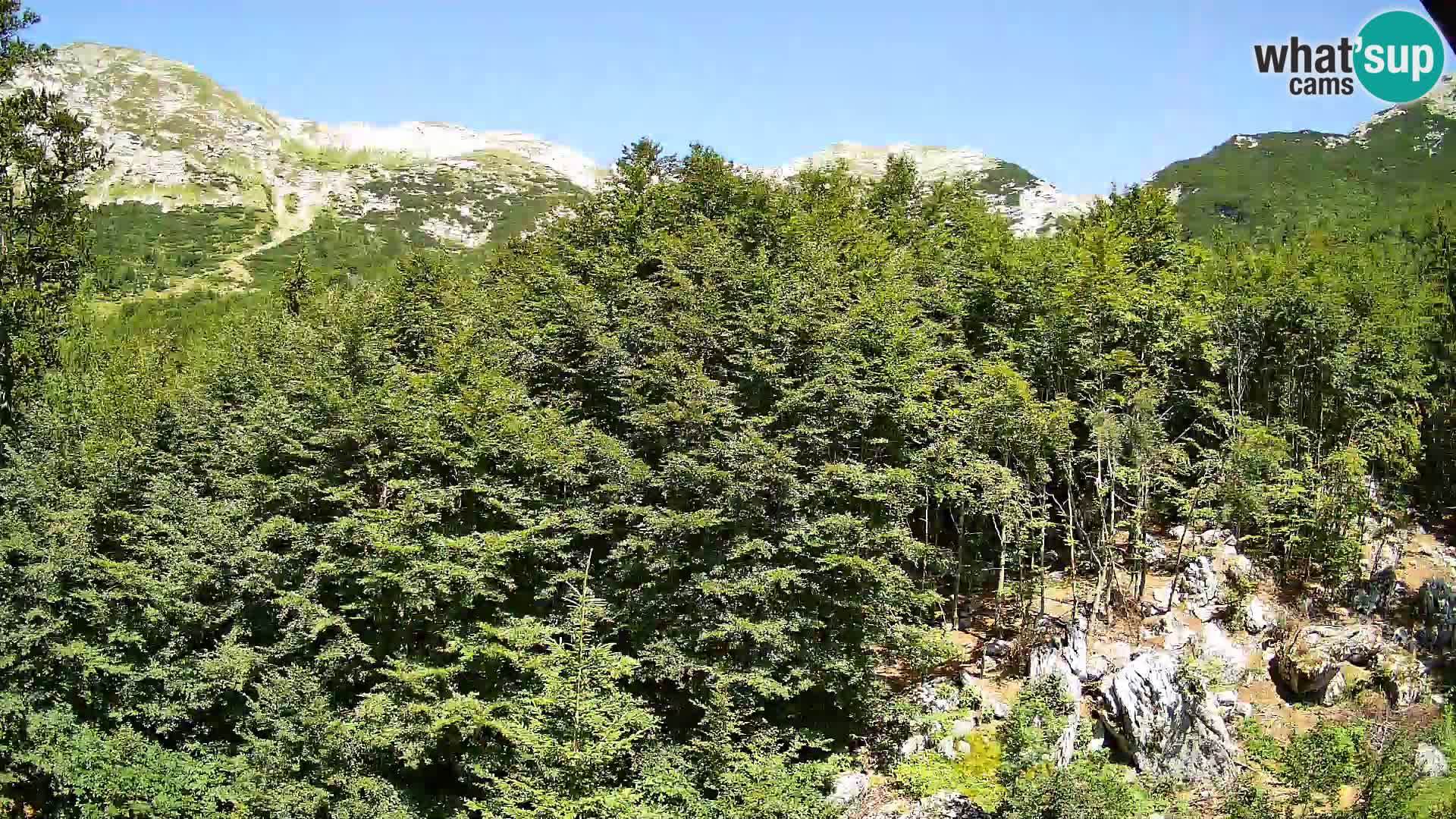 Cámara web PLANINA RAZOR (1315) | vista a Vogel y Globoko