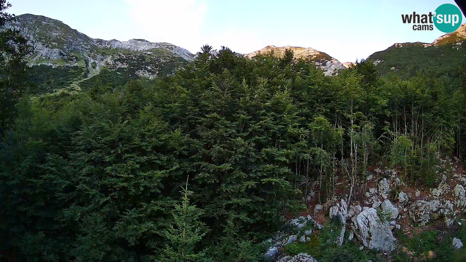 Livecam PLANINA RAZOR (1315) | vue sur Vogel et Globoko