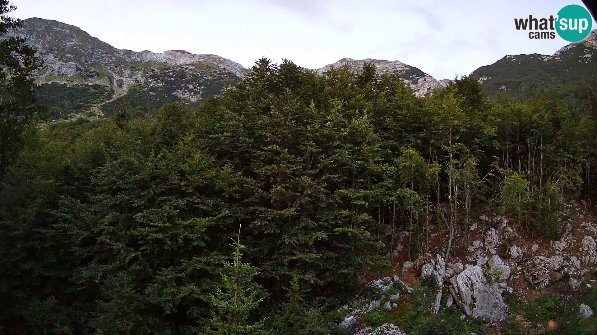 Webcam PLANINA RAZOR (1315) | Blick auf Vogel und Globoko
