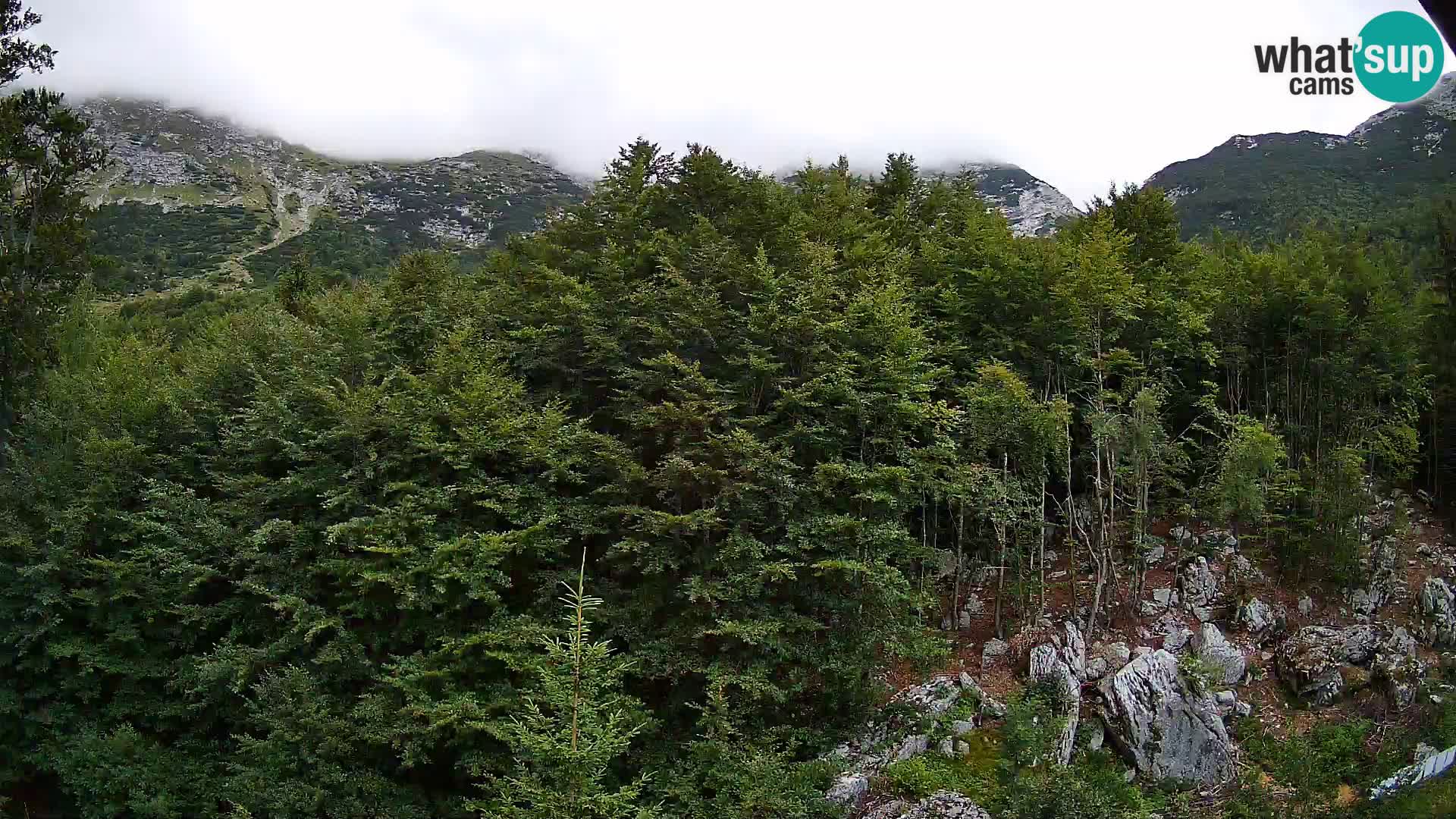 PLANINA RAZOR kamera (1315) | pogled na Vogel in Globoko