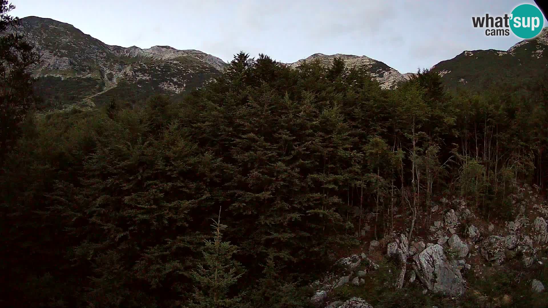 PLANINA RAZOR Live Cam (1315) | vista su Vogel e Globoko