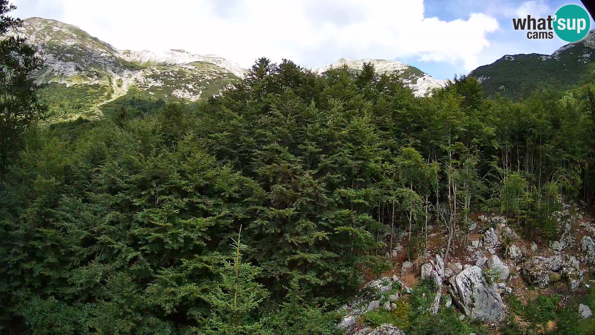 PLANINA RAZOR Live Cam (1315) | vista su Vogel e Globoko