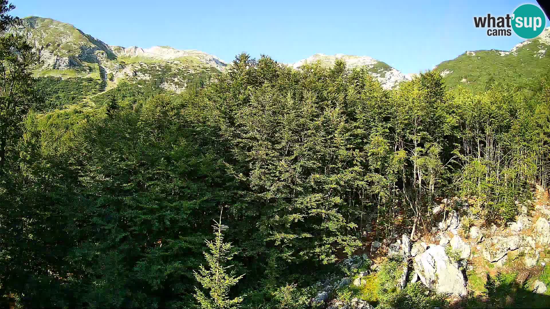 Livecam PLANINA RAZOR (1315) | vue sur Vogel et Globoko