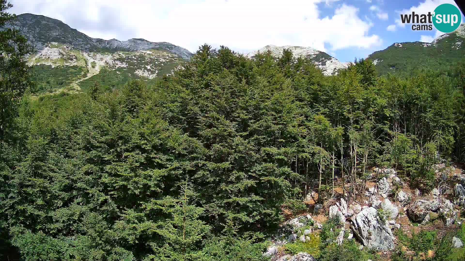 PLANINA RAZOR webcam (1315) | view to Vogel and Globoko