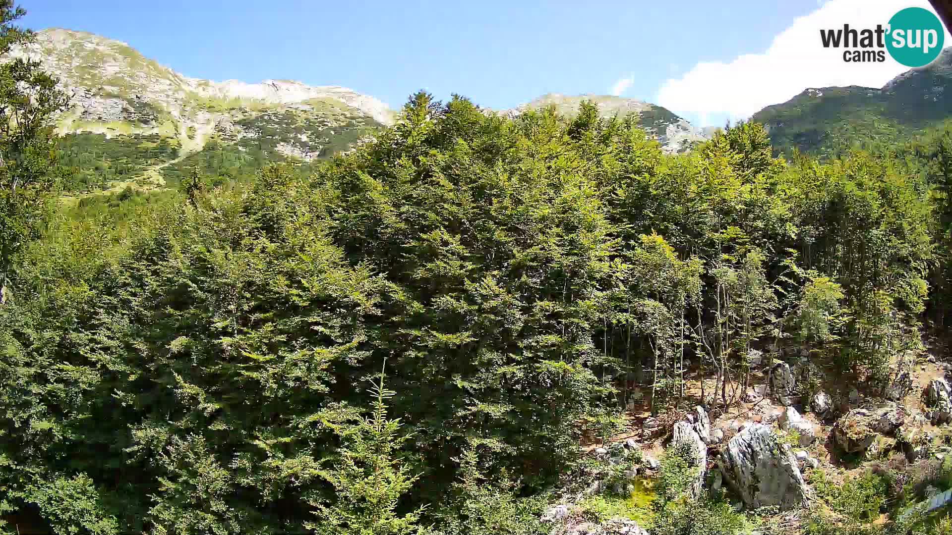 PLANINA RAZOR webcam (1315) | view to Vogel and Globoko