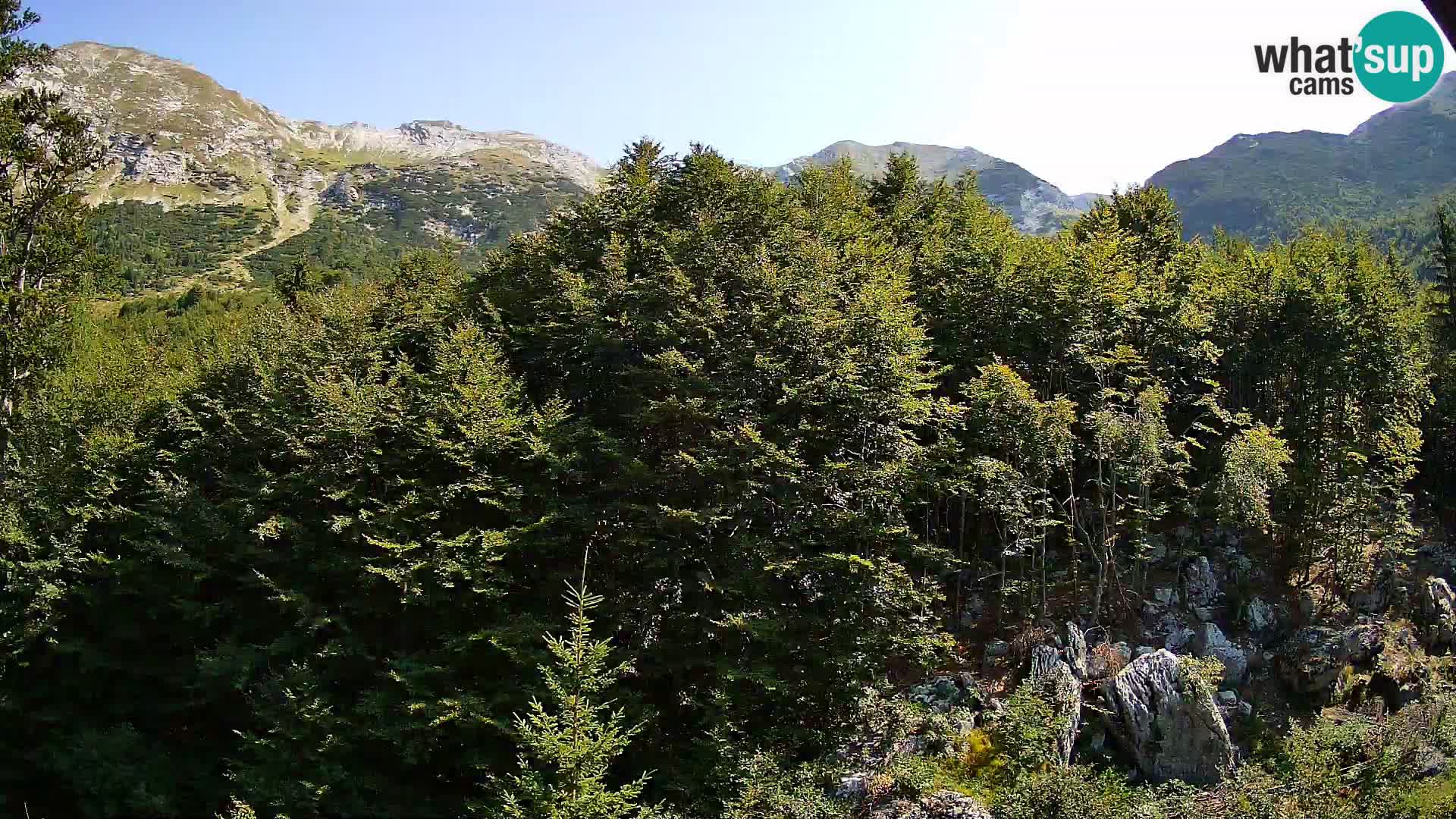 Webcam PLANINA RAZOR (1315) | Blick auf Vogel und Globoko