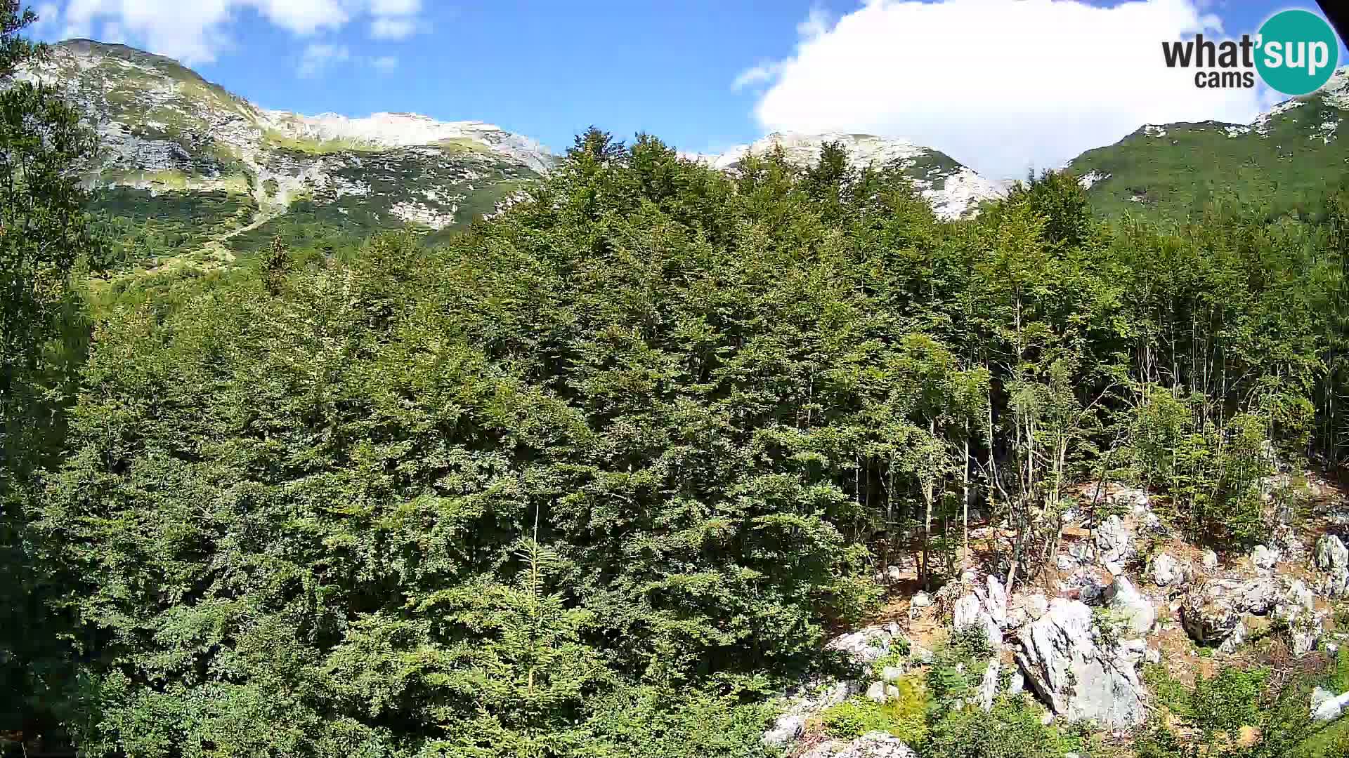 PLANINA RAZOR Live Cam (1315) | vista su Vogel e Globoko