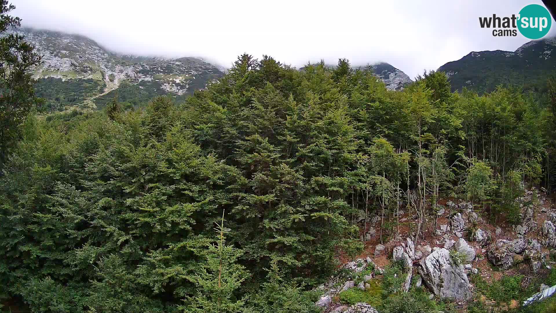 PLANINA RAZOR Live Cam (1315) | vista su Vogel e Globoko