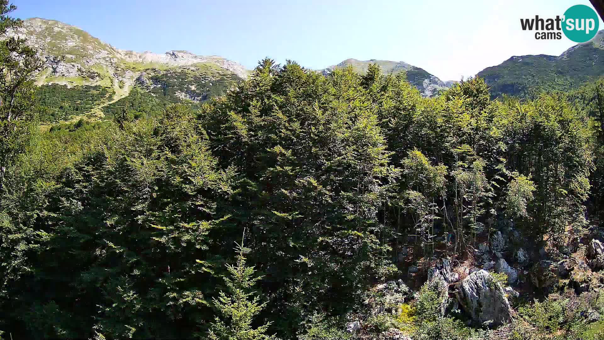 Livecam PLANINA RAZOR (1315) | vue sur Vogel et Globoko
