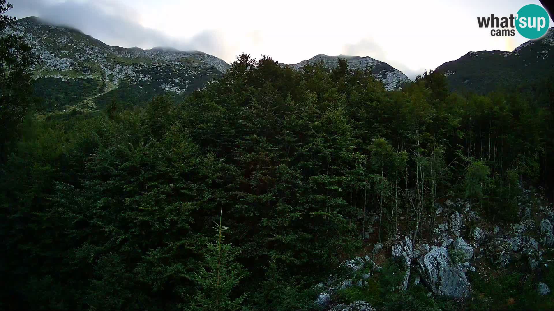 PLANINA RAZOR webcam (1315) | view to Vogel and Globoko