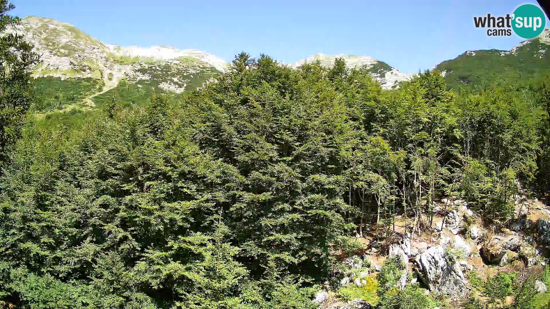Livecam PLANINA RAZOR (1315) | vue sur Vogel et Globoko