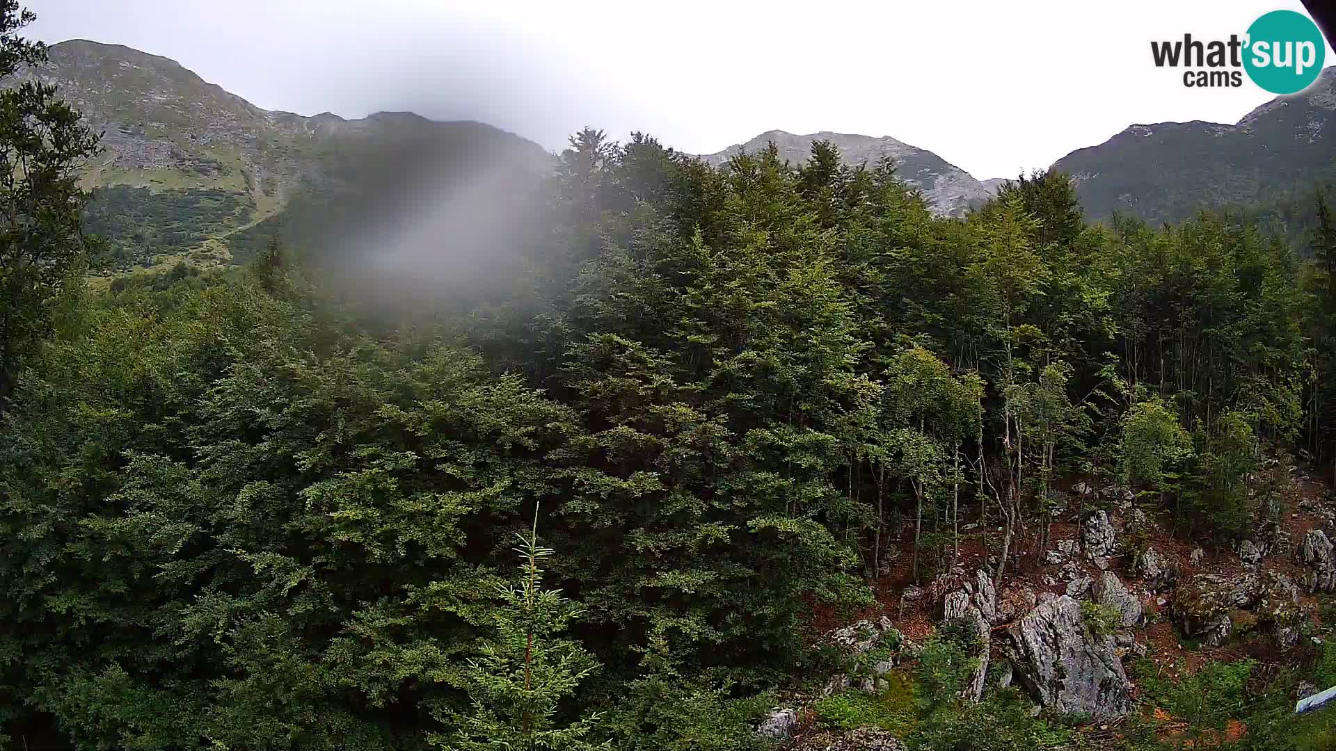 PLANINA RAZOR kamera (1315) | pogled na Vogel in Globoko