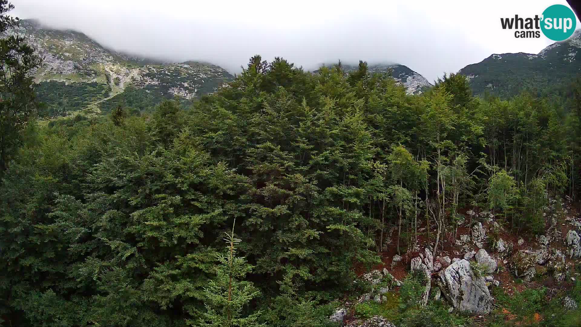 PLANINA RAZOR webcam (1315) | view to Vogel and Globoko