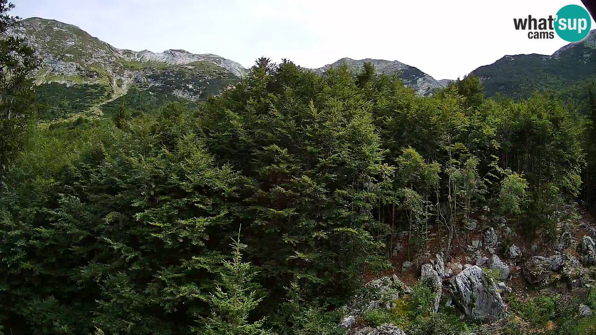 Webcam PLANINA RAZOR (1315) | Blick auf Vogel und Globoko