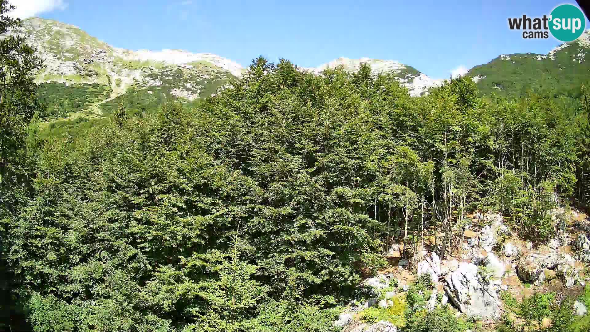 Webcam PLANINA RAZOR (1315) | Blick auf Vogel und Globoko