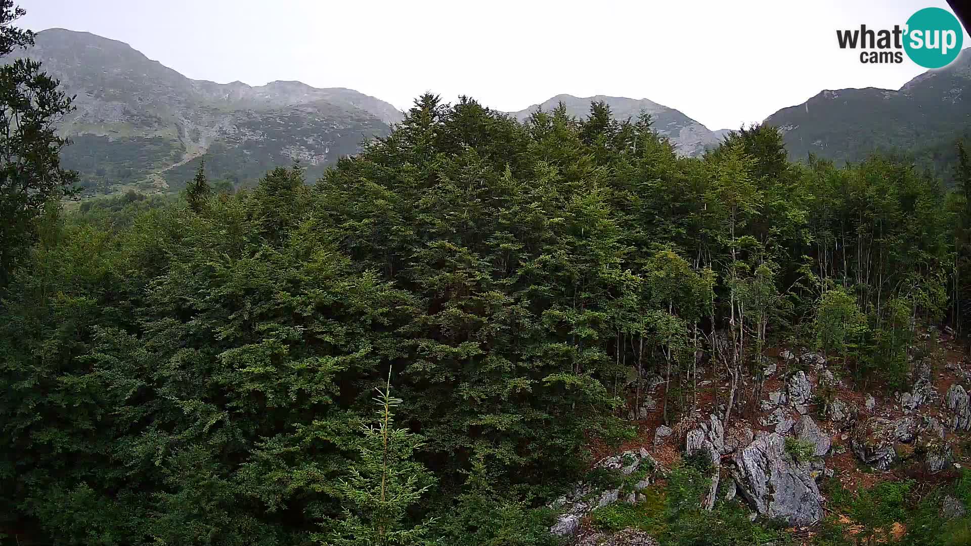 PLANINA RAZOR webcam (1315) | view to Vogel and Globoko
