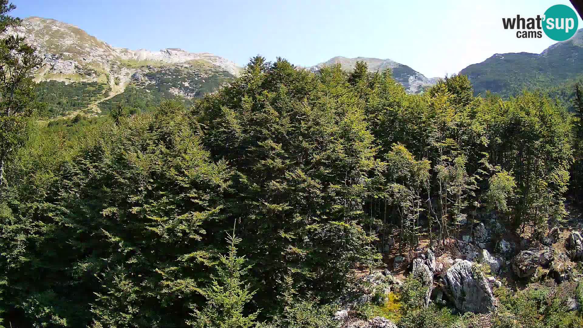 PLANINA RAZOR Live Cam (1315) | vista su Vogel e Globoko