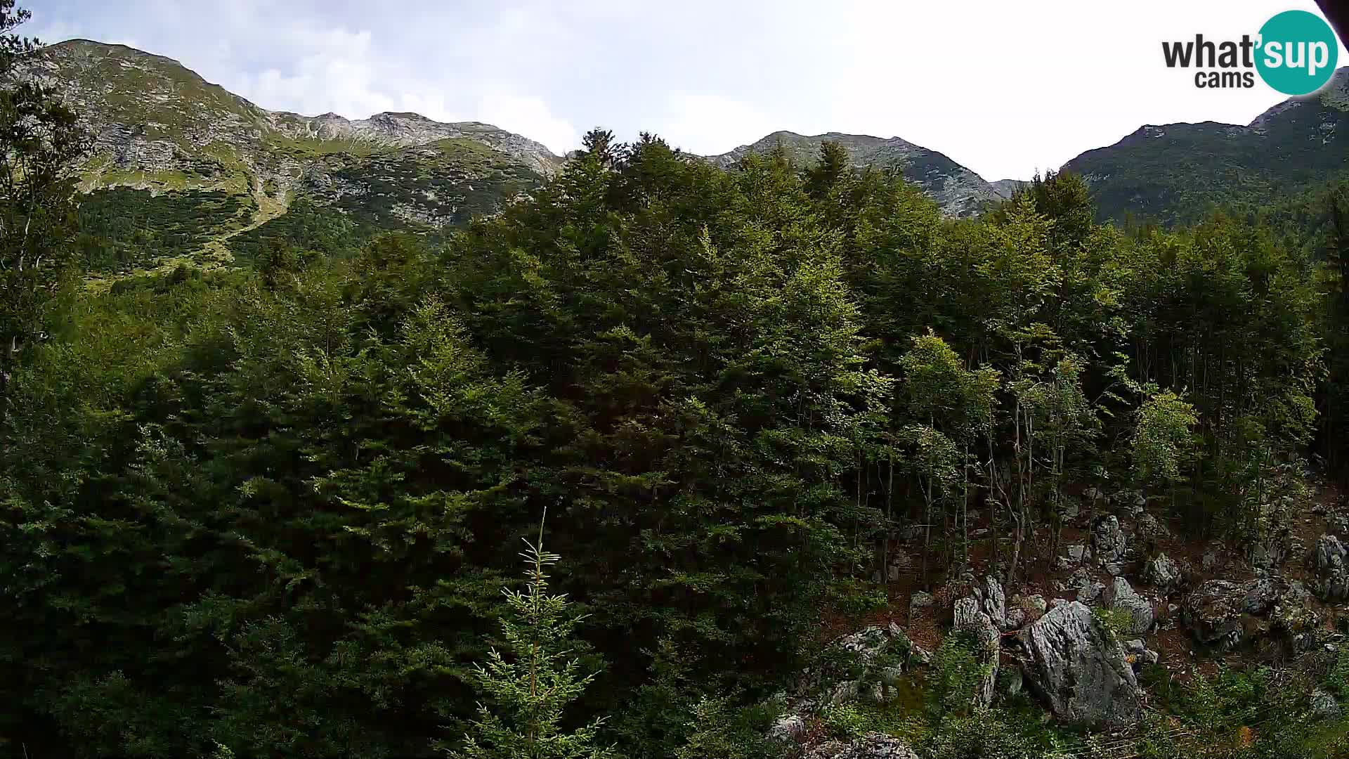 PLANINA RAZOR Live Cam (1315) | vista su Vogel e Globoko