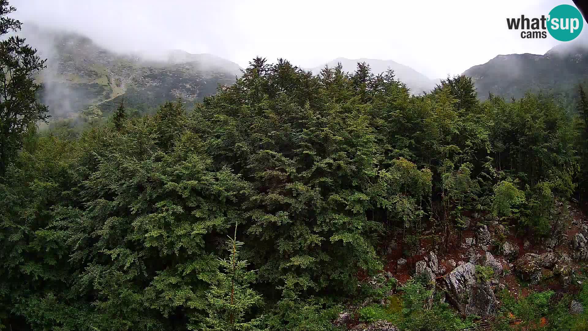 PLANINA RAZOR webcam (1315) | view to Vogel and Globoko