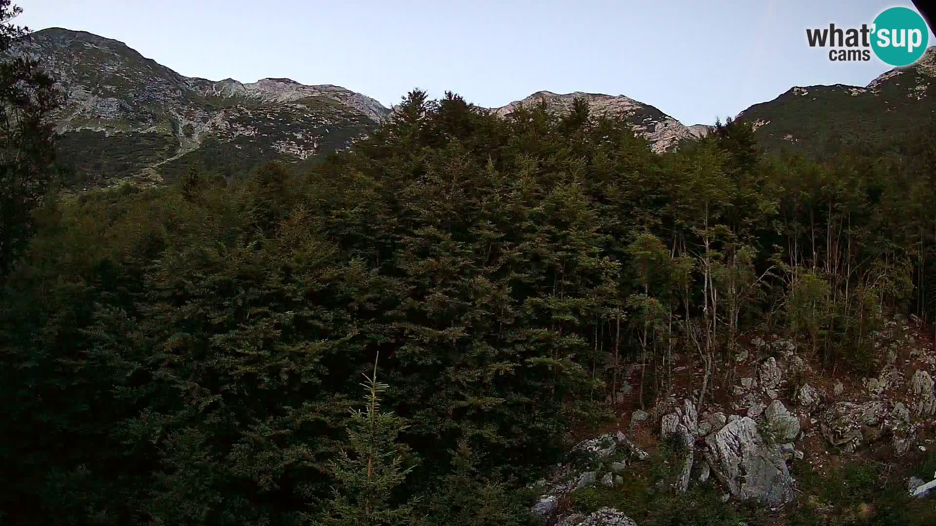 Webcam PLANINA RAZOR (1315) | Blick auf Vogel und Globoko