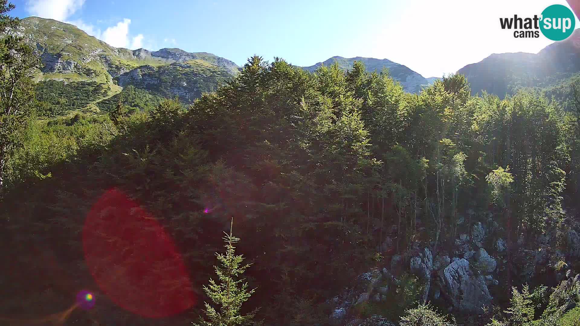 PLANINA RAZOR kamera (1315) | pogled na Vogel in Globoko